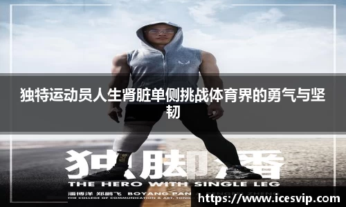 完美体育在线入口官网