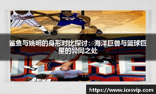 完美体育在线入口官网