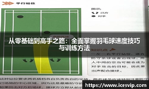 完美体育在线入口官网